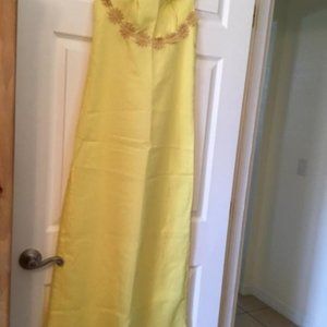 Vintage Prom Formal dress